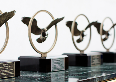 Siemens Bronze Eagle Awards